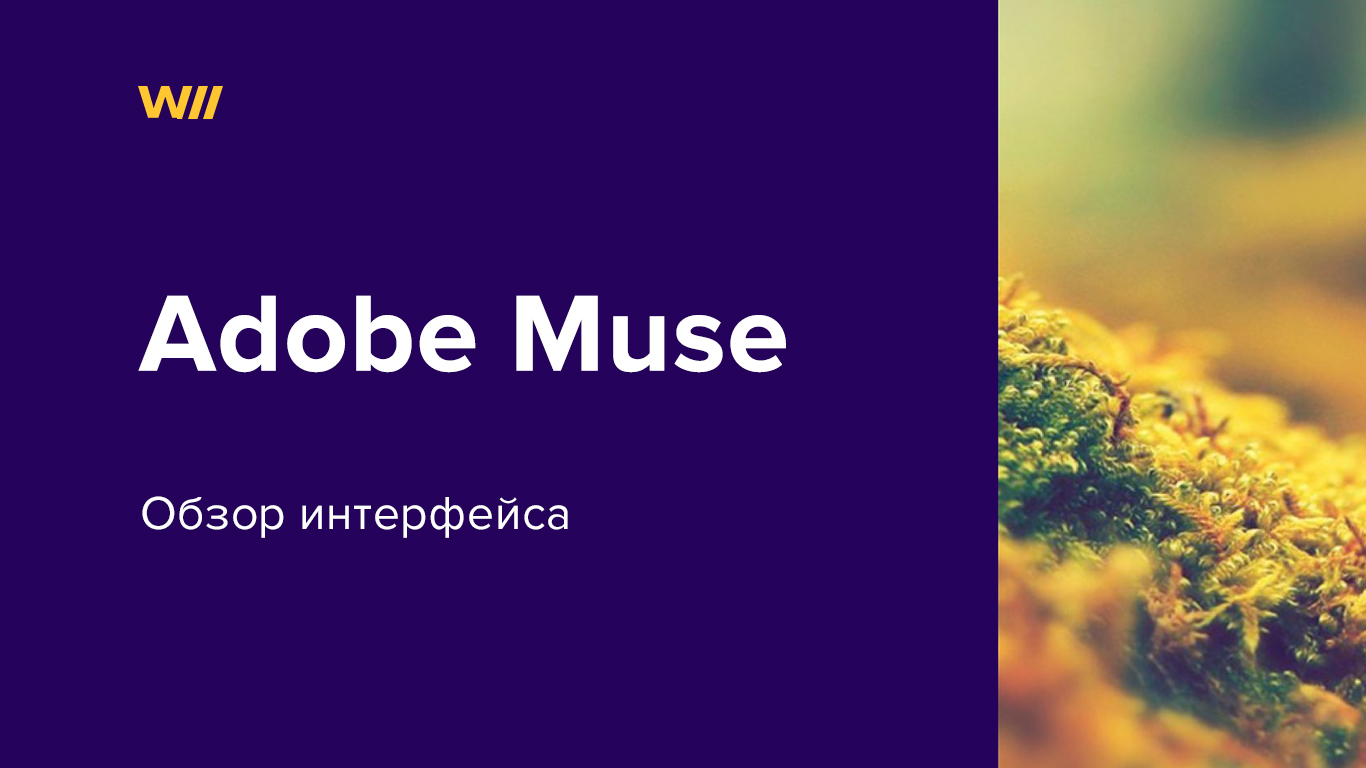 картинка к статье обзор интерфейса Adobe Muse