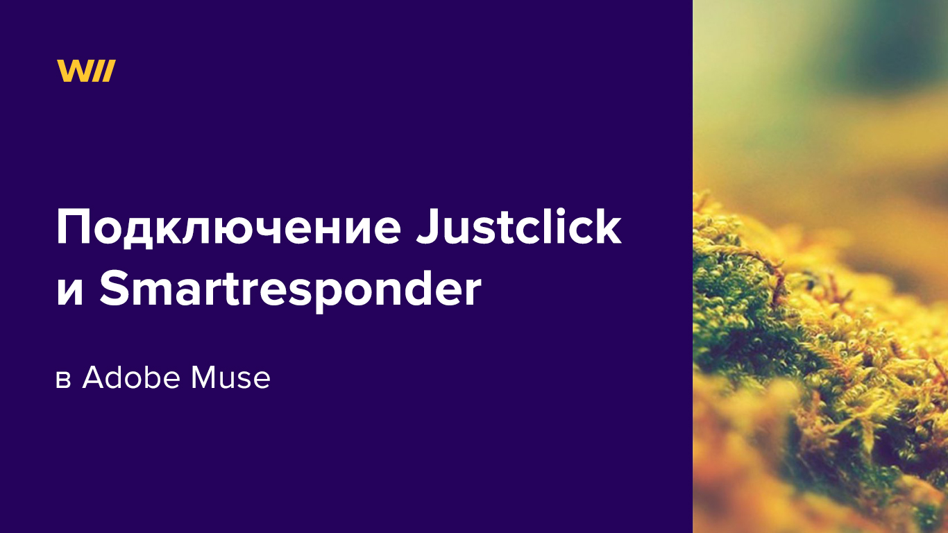 картинка к статье про подключение Justclick и Smartresponder к Adobe Muse